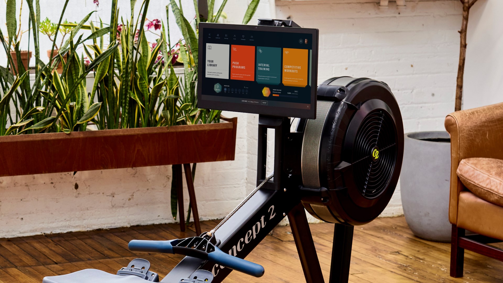 RowErg with Ergatta Tablet